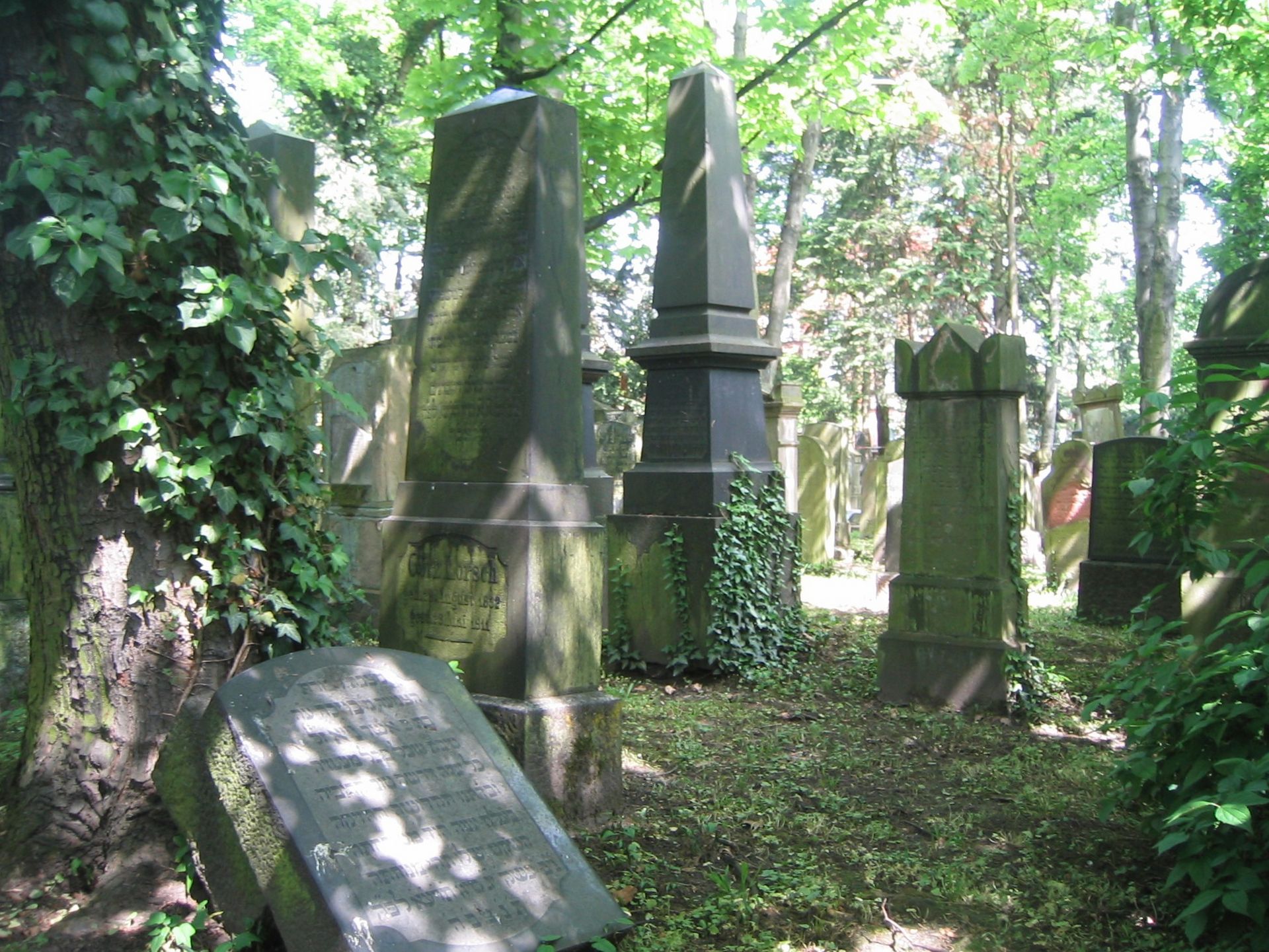 Jüdische Kulturwochen: Führung über den historischen jüdischen Friedhof ...